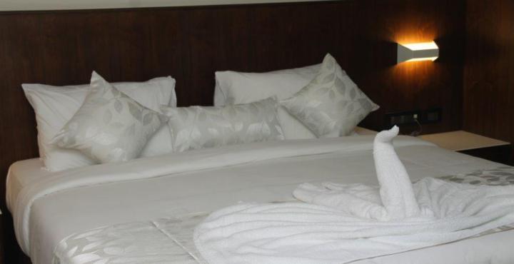 Hotel Celestiial , Candolim Extérieur photo